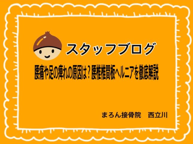腰痛や足の痺れの原因は？腰椎椎間板ヘルニアを徹底解説
